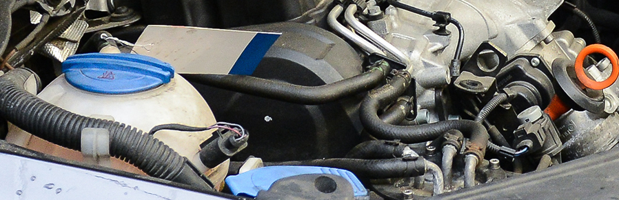 General purpose fuel and oil hoses