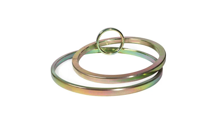 API flange sealing rings