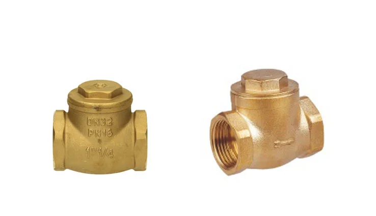Flap check valves