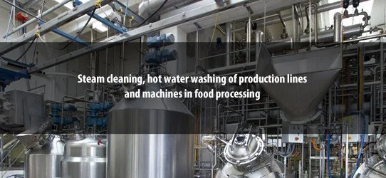 steam-cleaning-hot-water-washing-production-lines-machines.jpg Steam cleaning, hot water washing of production lines and machines in food processing