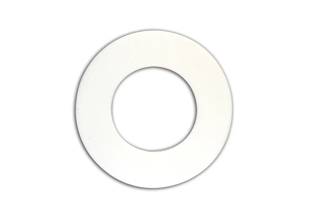 PTFE IBC Flat Gasket for ASA Flange