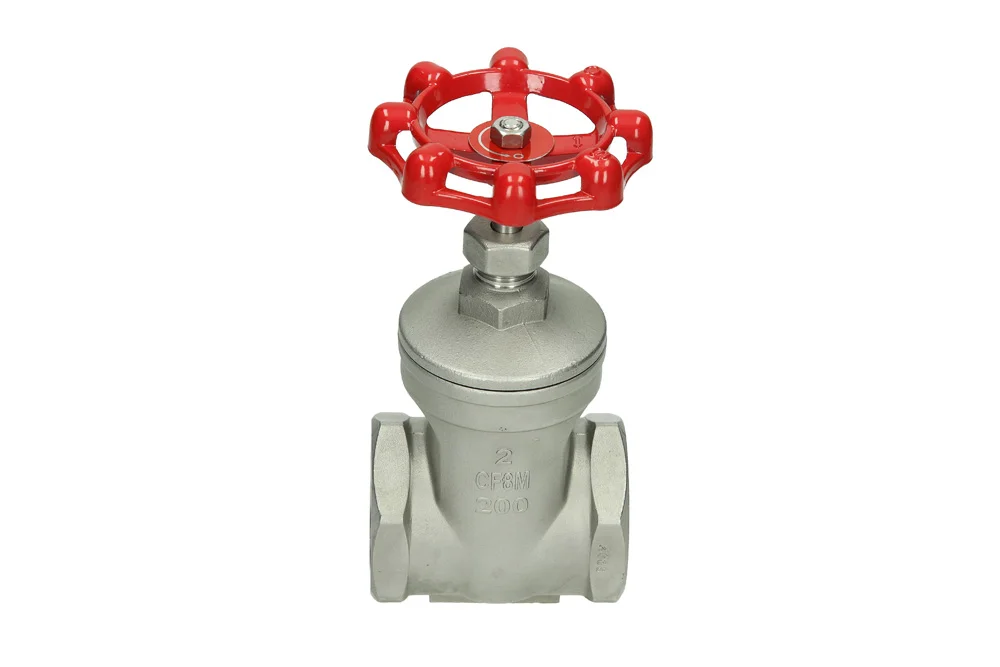 Stainless Steel Gate Valve with BSP Female Thread, Type 2029