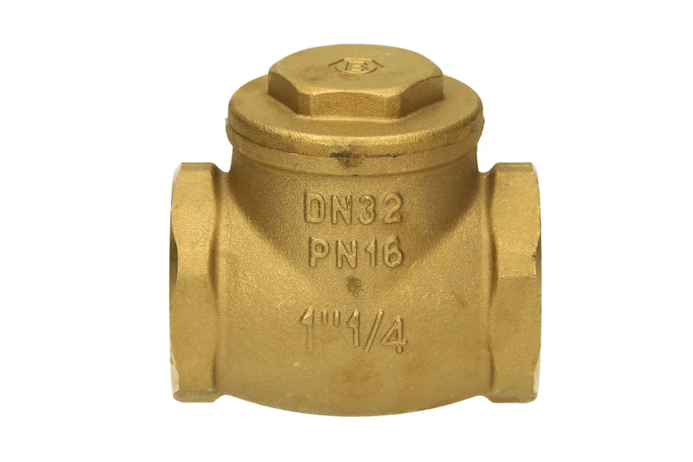Flapper Check Valve with BSP Female Thread, Type 2251