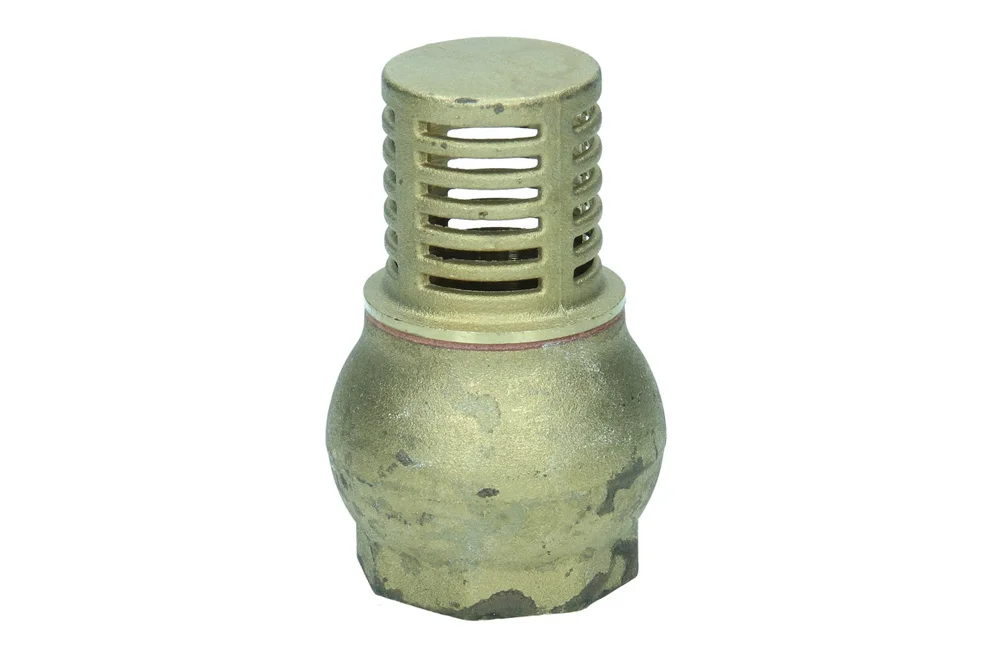 Foot Valve with BSP Female Thread, Type 2350